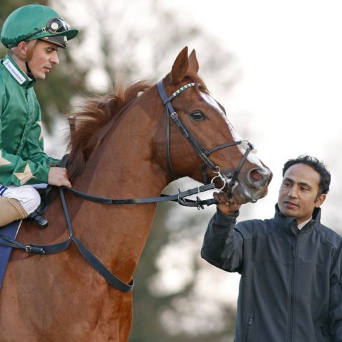 Asif & Decorated Knight