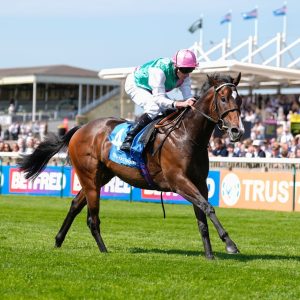 cosmic-year-newmarket