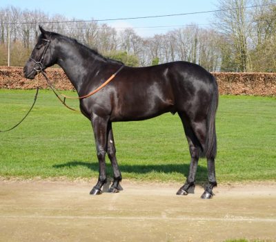 secano-stood-up-04.03.26 secano-stood-up-04.03.26