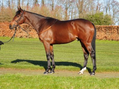 besieged-january-2025 besieged-january-2025