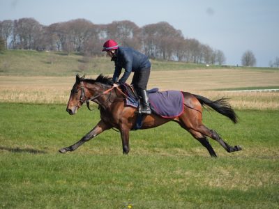 ex-secret-soul-21.03.26